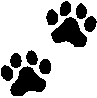 an04406_.gif